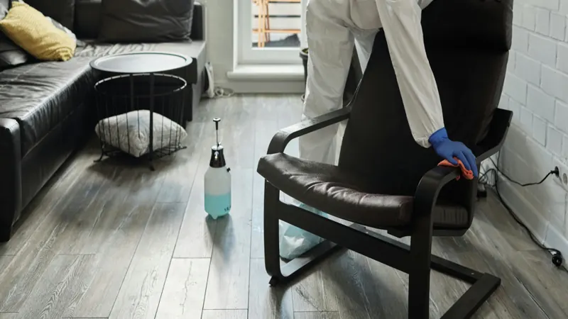 Cleaner wiping an upholstered chair